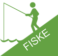 fiske